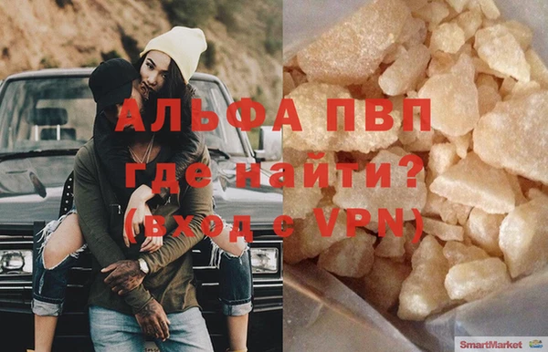 индика Горнозаводск